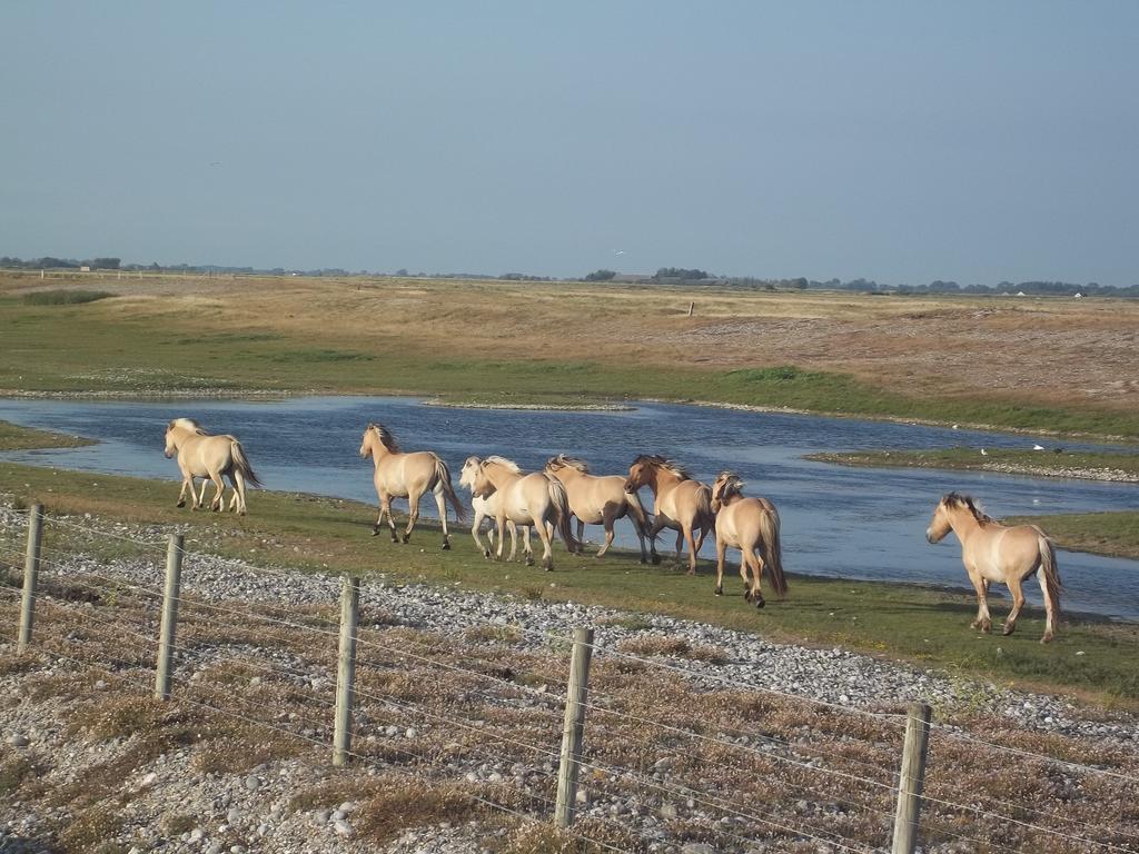 Camping Paradis Les Galets De La Molliere Cayeux-sur-Mer Exteriör bild