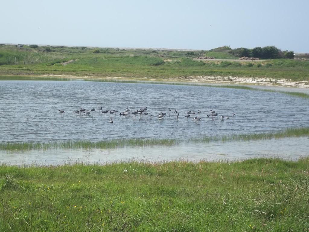 Camping Paradis Les Galets De La Molliere Cayeux-sur-Mer Exteriör bild